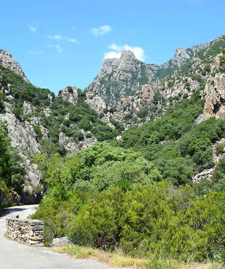 The mountain range of Caroux and Espinouse: a wild setting near the Hôtel Belleville in Lamalou-les-Bains