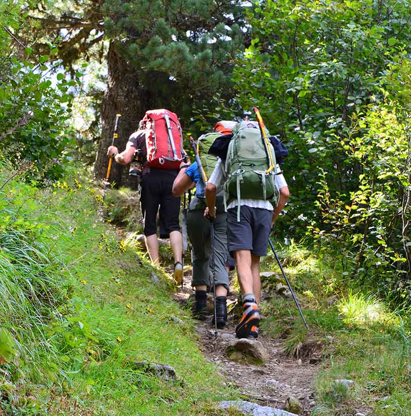 Activités en pleine nature lors de votre séjour à Hôtel Belleville à Lamalou-les-Bains : randonnées pédestres et découvertes botaniques
