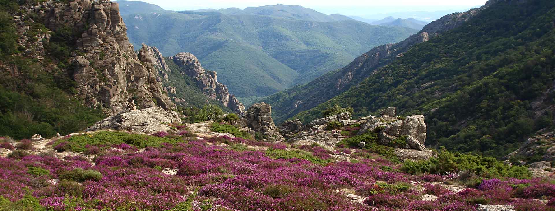 Getaway for relaxation and nature in Lamalou-les-Bains: Hôtel Belleville